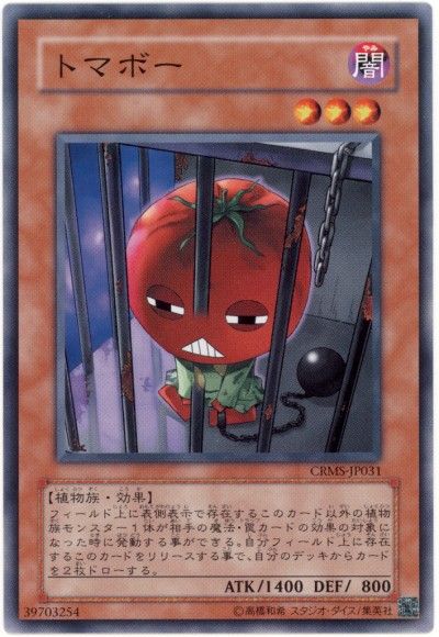 card73711411_1.jpg
