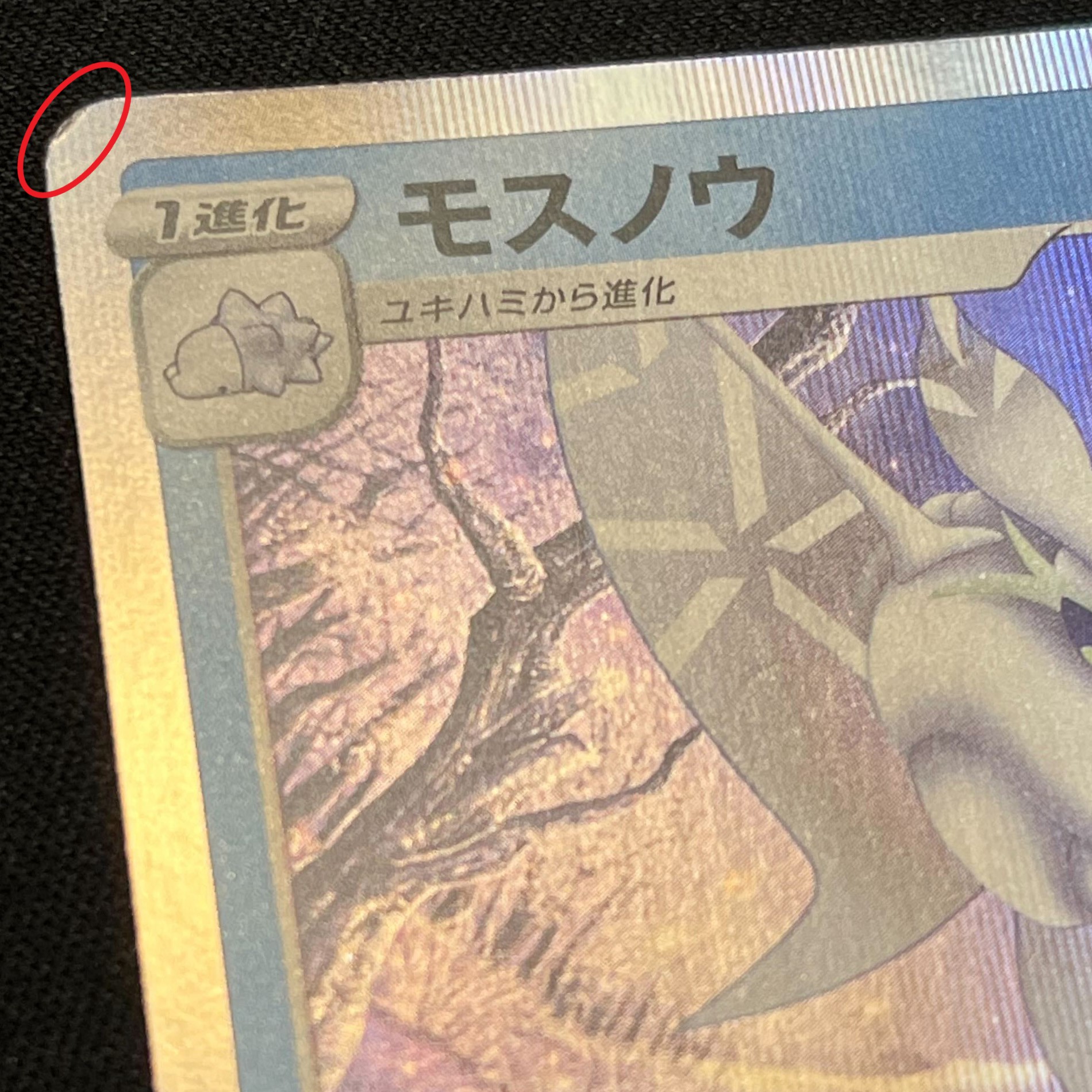 ランクB めくれ 拡大