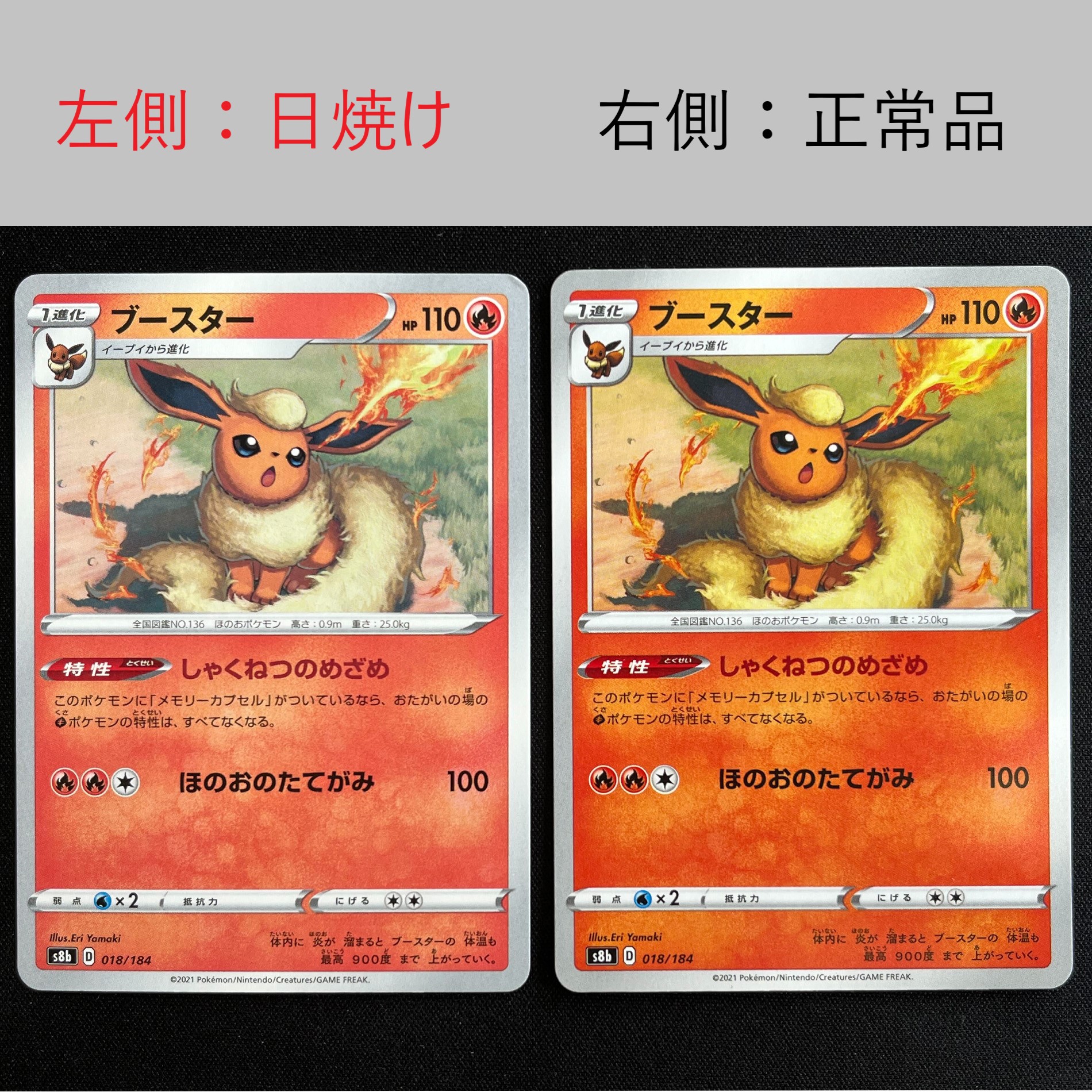 ランクD 日焼け 拡大
