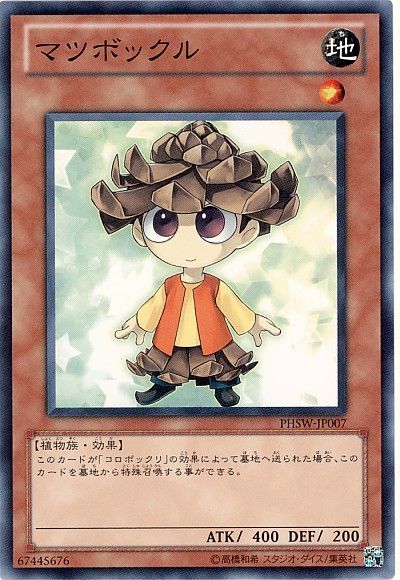 マツボックル