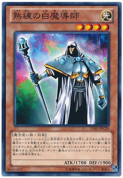 熟練の白魔導師