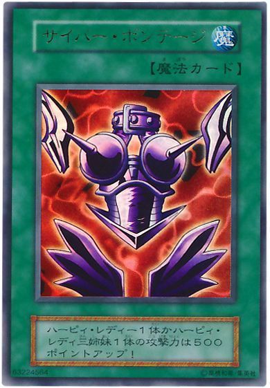 サイバー・ボンテージ