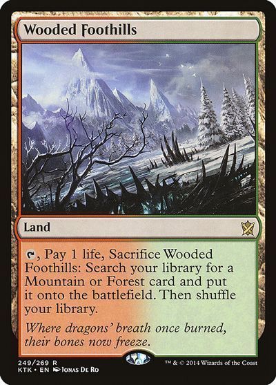 MTG】 樹木茂る山麓/Wooded Foothills(英語版) （レア） の買取・査定 ...