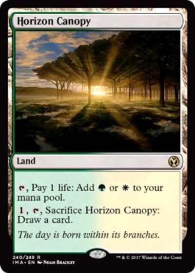 MTG】 地平線の梢/Horizon Canopy(英語版) （レア） の買取・査定価格 - カーナベル