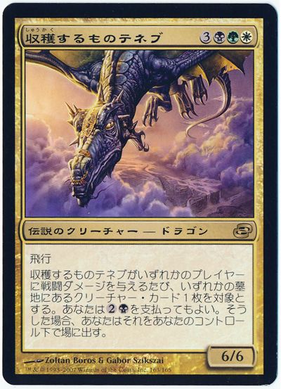 収穫するものテネブ