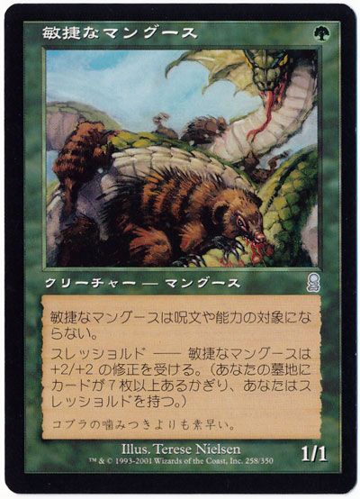 敏捷なマングース アンコモン Ody マジック ザ ギャザリング通販カーナベル