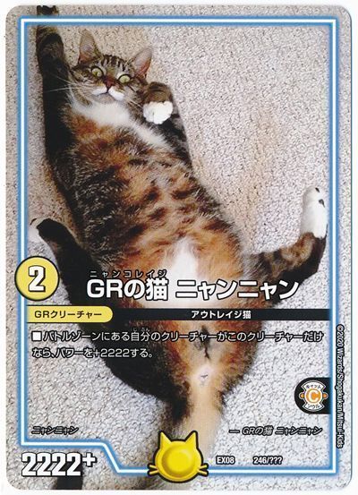 GRの猫 ニャンニャン