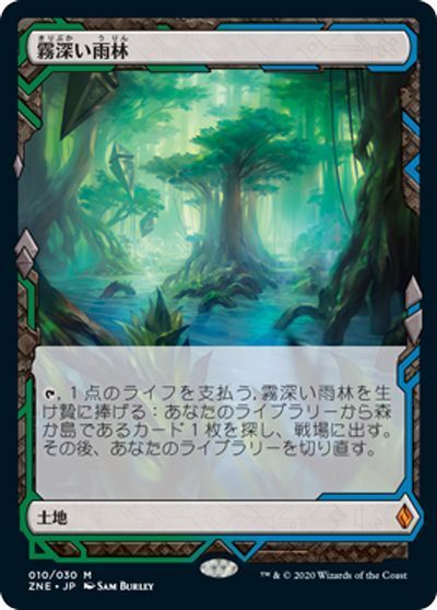霧深い雨林