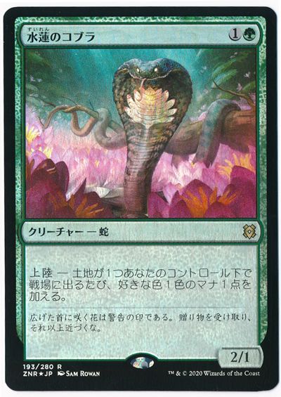 水蓮のコブラ Foil Znr マジック ザ ギャザリング通販カーナベル 水蓮のコブラ Foil Znr マジック ザ ギャザリング通販カーナベル