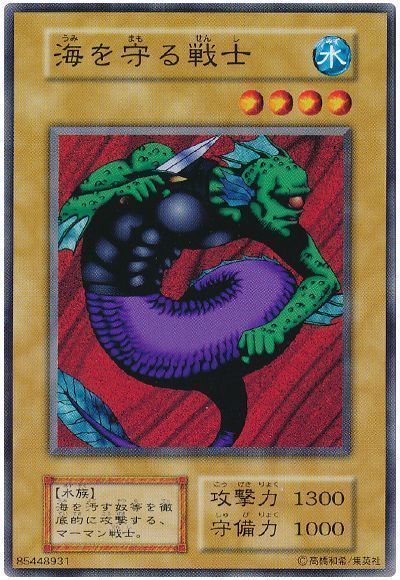 海を守る戦士