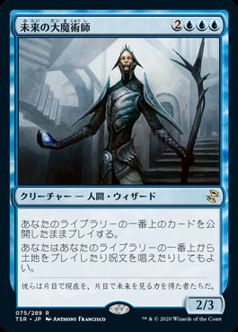 未来の大魔術師