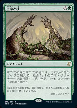 生命と枝