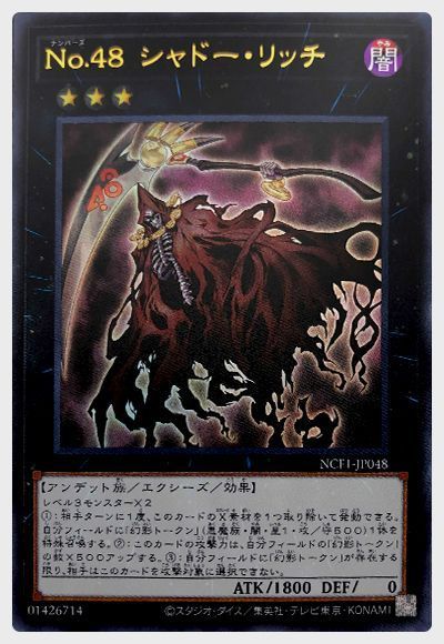 No.48 シャドー・リッチ