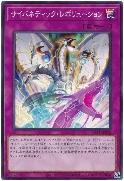 サイバネティック・レボリューション 