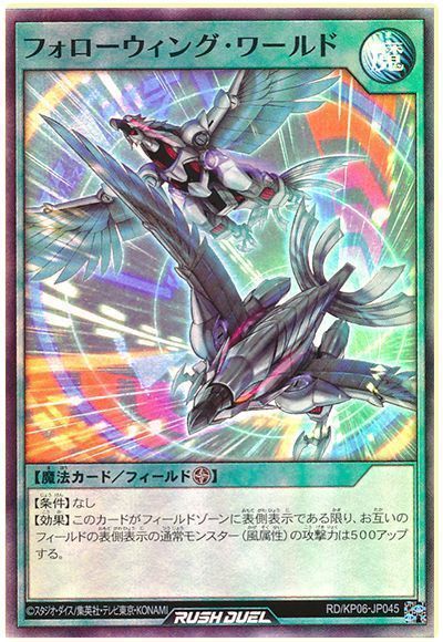 フォローウィング・ワールド