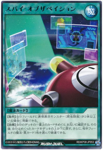 スパイ・オブザベイション