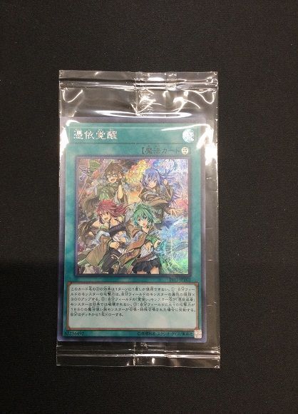 遊戯王　憑依覚醒　シークレット　未開封