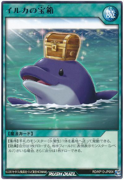 イルカの宝箱