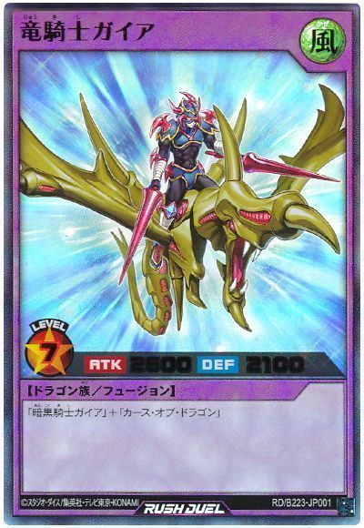遊戯王 竜騎士&暗黒騎士ガイア 記し