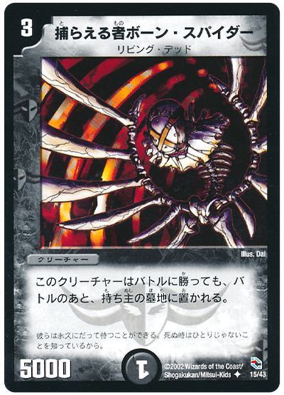 捕らえる者ボーン・スパイダー