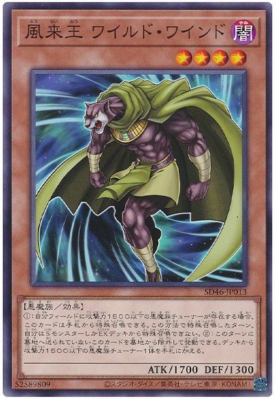 風来王 ワイルド・ワインド