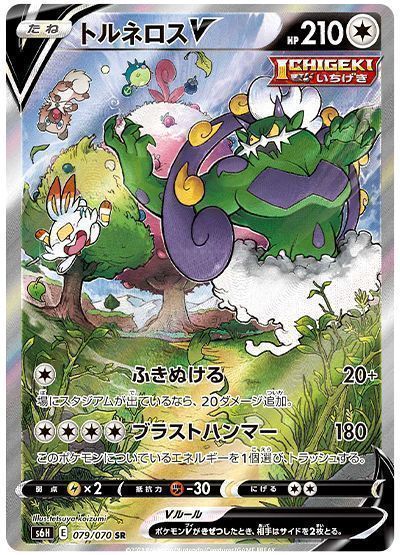 信頼も高い トルネロスV(スペシャルアート) （スーパーレア）【ポケモン シングルカード