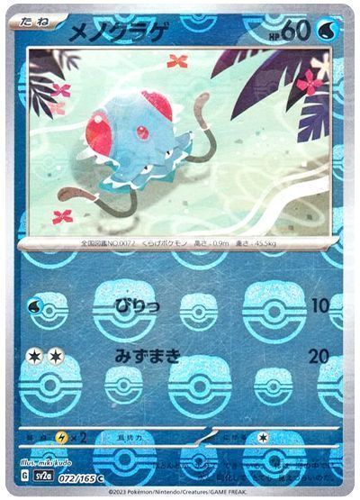 メノクラゲ