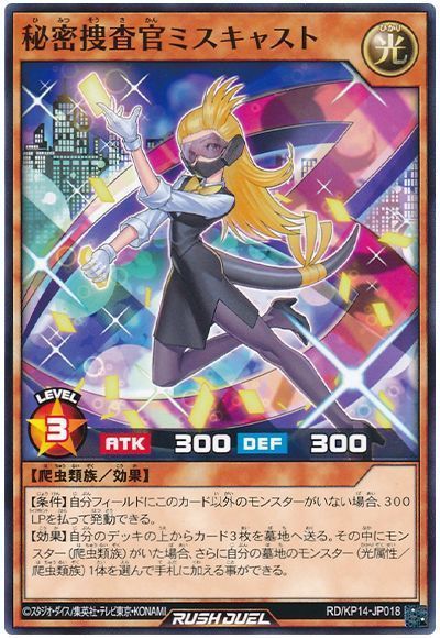 秘密捜査官ミスキャスト