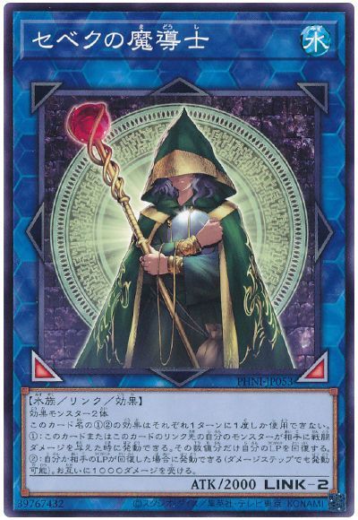 セベクの魔導士