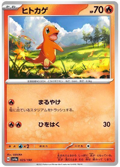 ヒトカゲ(まるやけ)