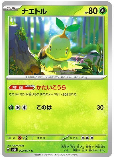 ナエトル