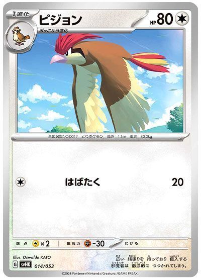 ピジョン