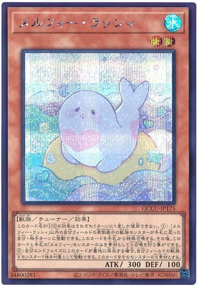 メルフィー・ラッシィ