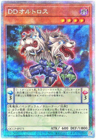 DDオルトロス