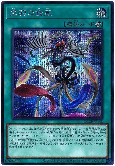 黒羽の旋風
