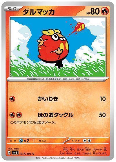 ダルマッカ