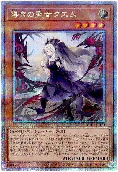 導きの聖女クエム