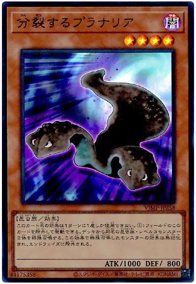 分裂するプラナリア