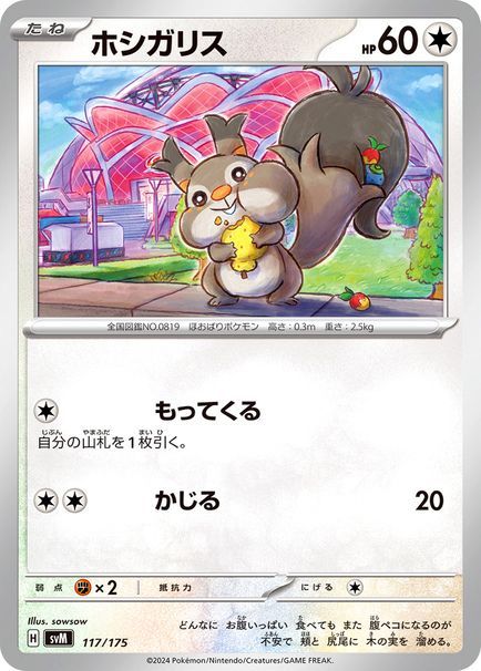 ホシガリス