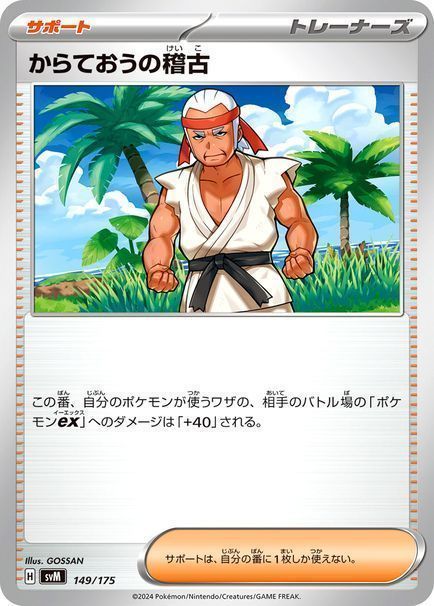 からておうの稽古(149/175)