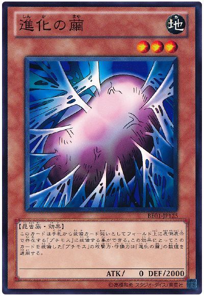 進化の繭