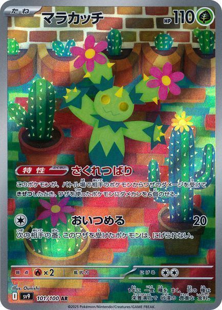 マラカッチ