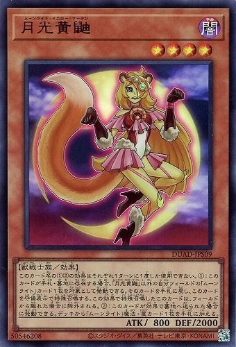 月光黄鼬