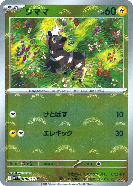 シママ