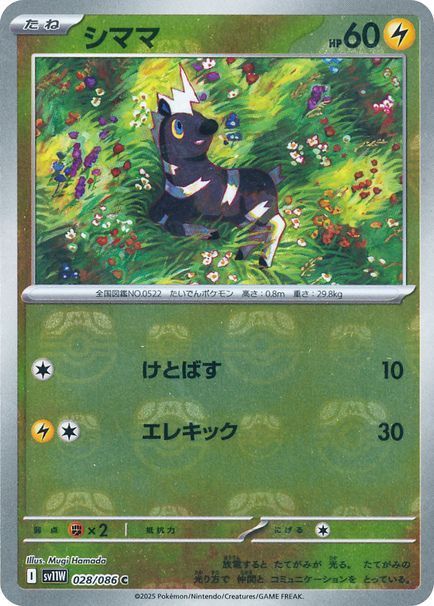 シママ