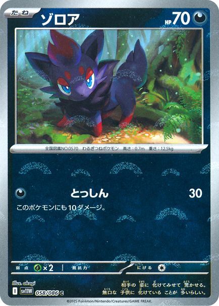 ゾロア
