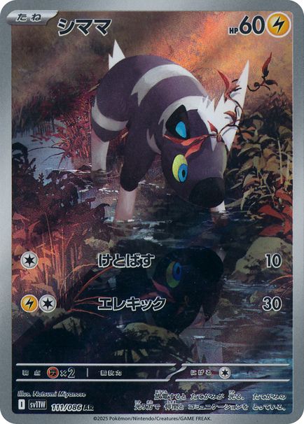 シママ