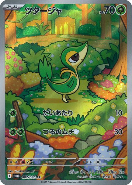 ツタージャ