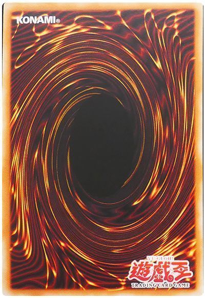 card/card100361613_3.jpg