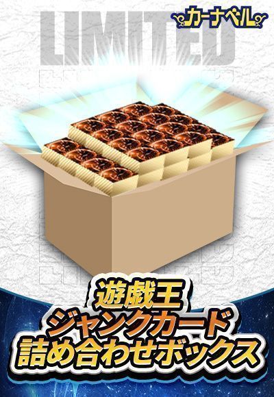 ジャンク】遊戯王デュエリストケース / まとめ売り